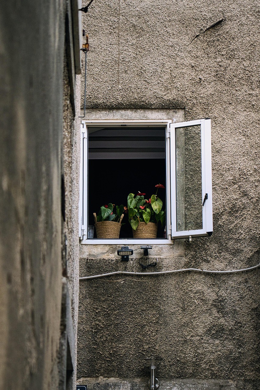 A small open white window with potted plants appears in a rough gray wall at the end of a narrow passage.